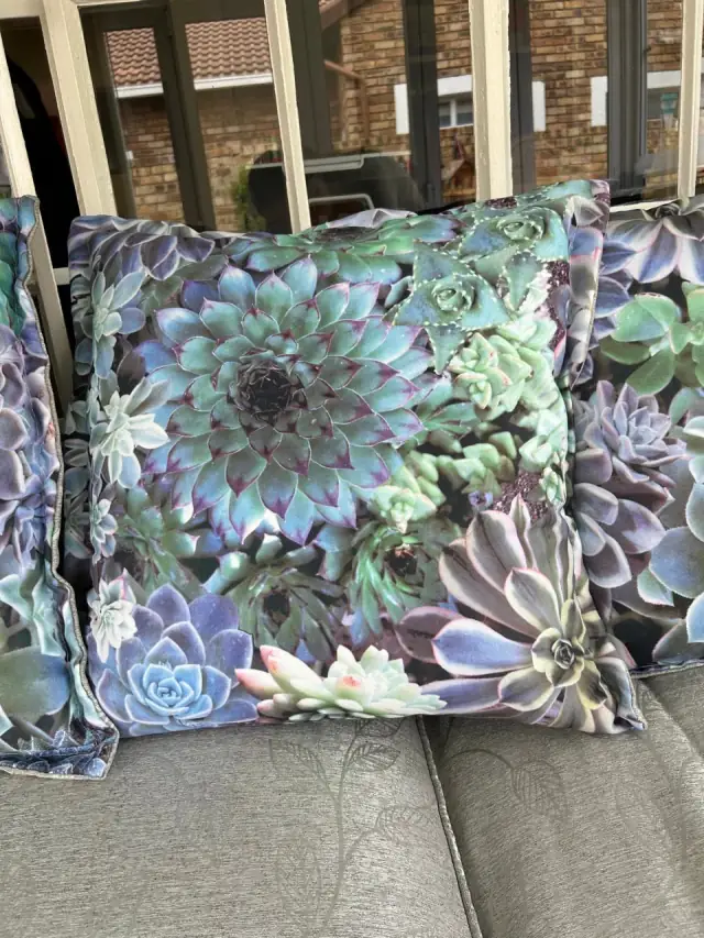 Scatter cushions in a succulent print